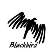 Blackbird Logo - Blackbird Technologies Salaries | Glassdoor