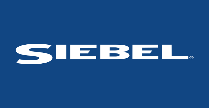 Siebel Logo - Siebel Development