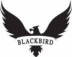 Blackbird Logo - Blackbird PU | Modern Surfboards - Surf Shops Australia