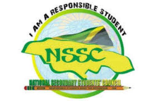 NSSC Logo - Stabbing death of student at Edith Dalton James High concerning