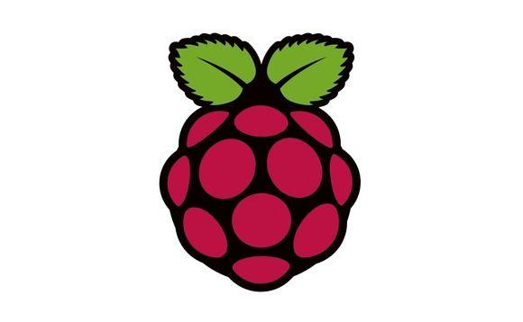 Raspberry Logo - Raspberry Pi Foundation shines a light on Pi Noir