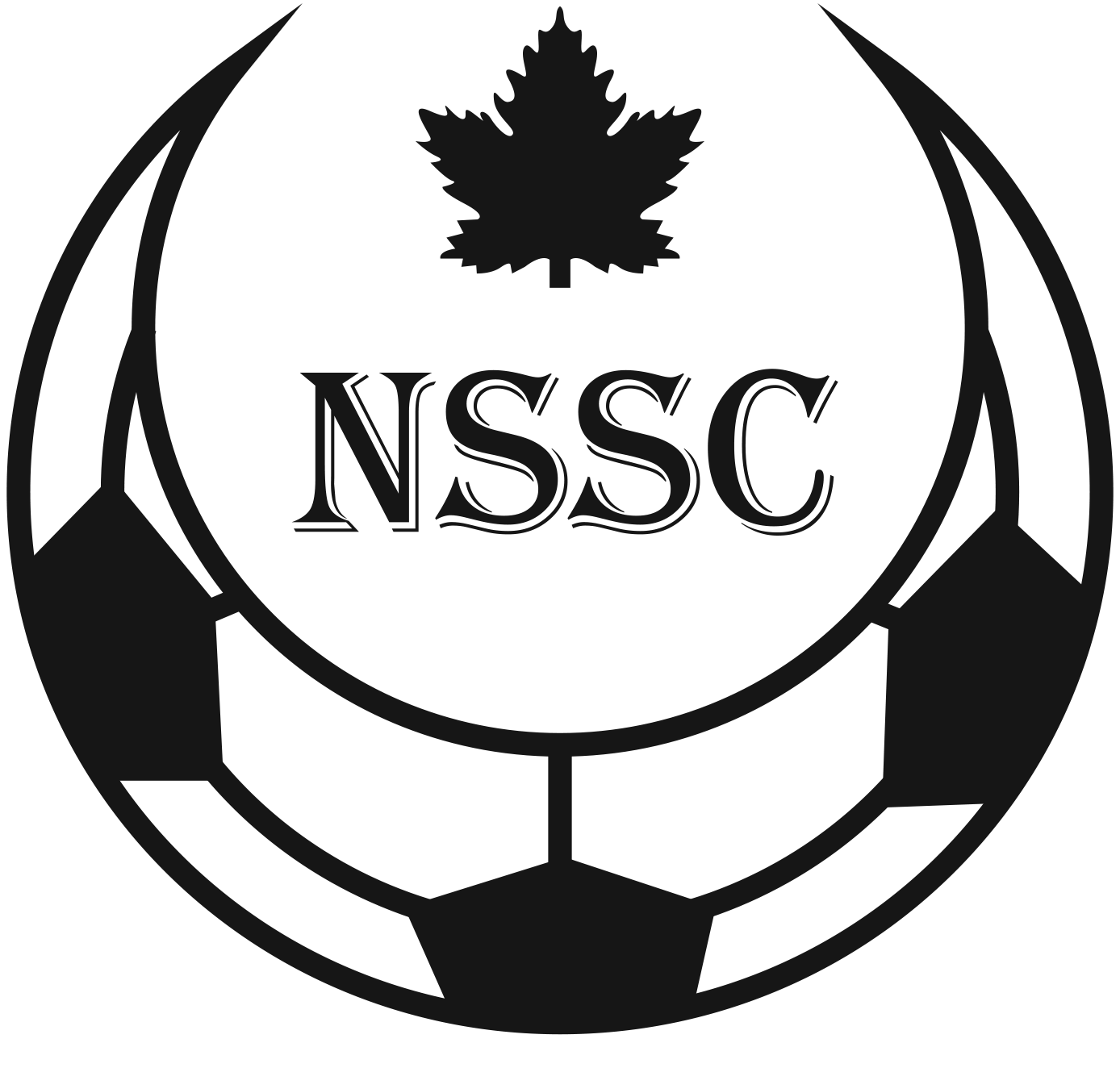 NSSC Logo - TeamPages