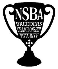 NSBA Logo - Logo NSBA BCF. Bradac Ranch South