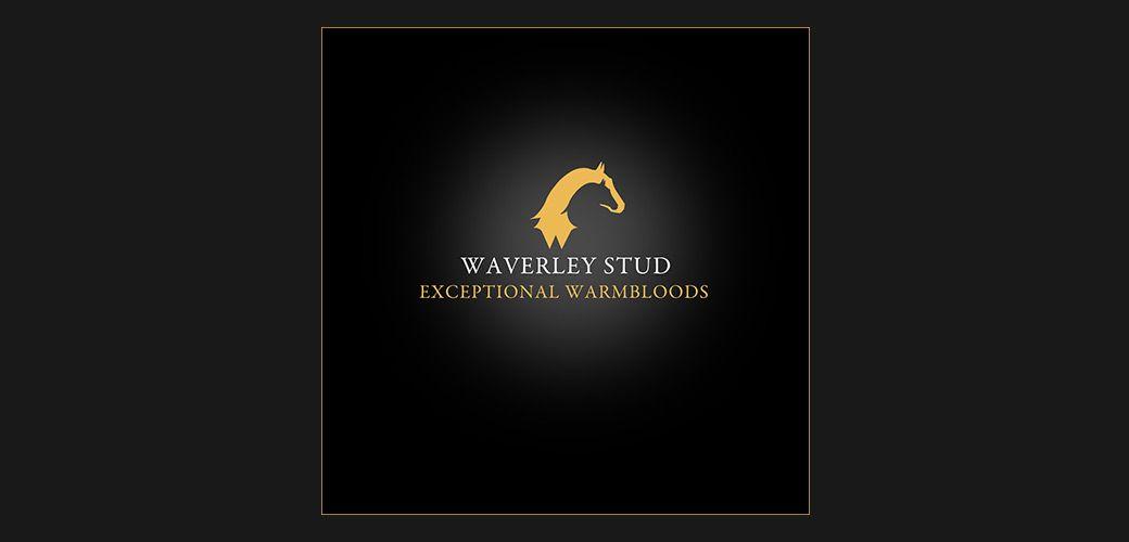 Equine Logo - Fizz Equestrian. Equestrian Logo Design. Equestrian Creative