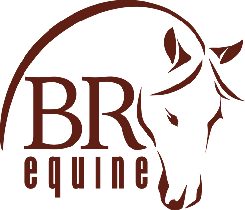 Equine Logo - BR Equine. Specialty Equine Products