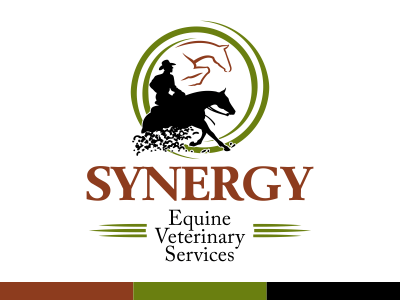 Equine Logo - Horse Logo for Equine Veterinary Service by Joni Solis | Dribbble ...