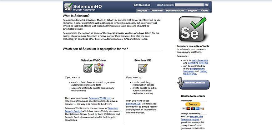 SeleniumHQ Logo - Application Programming Interface (API) Testing Tools