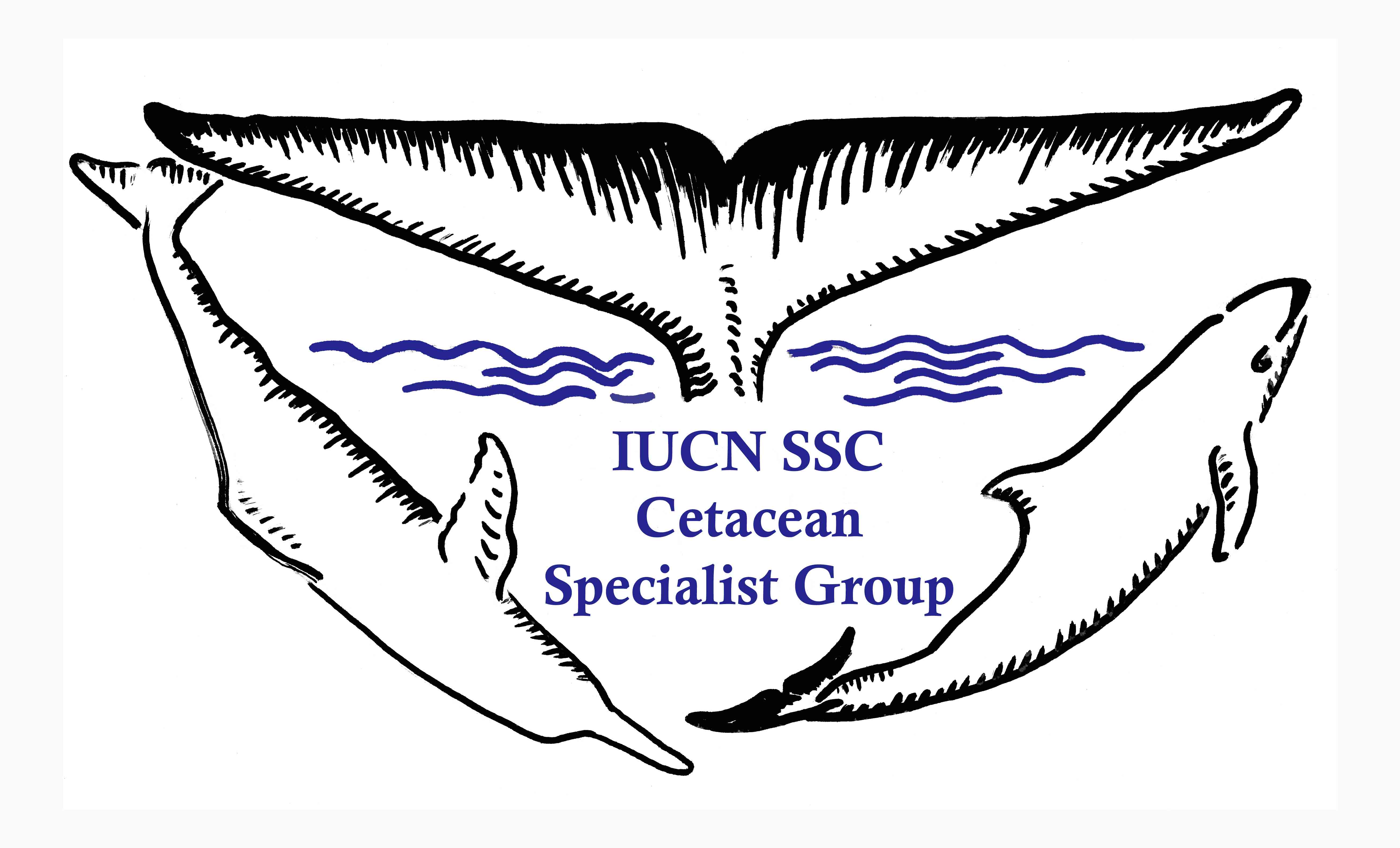 CSG Logo - New CSG Logo | IUCN – SSC Cetacean Specialist Group