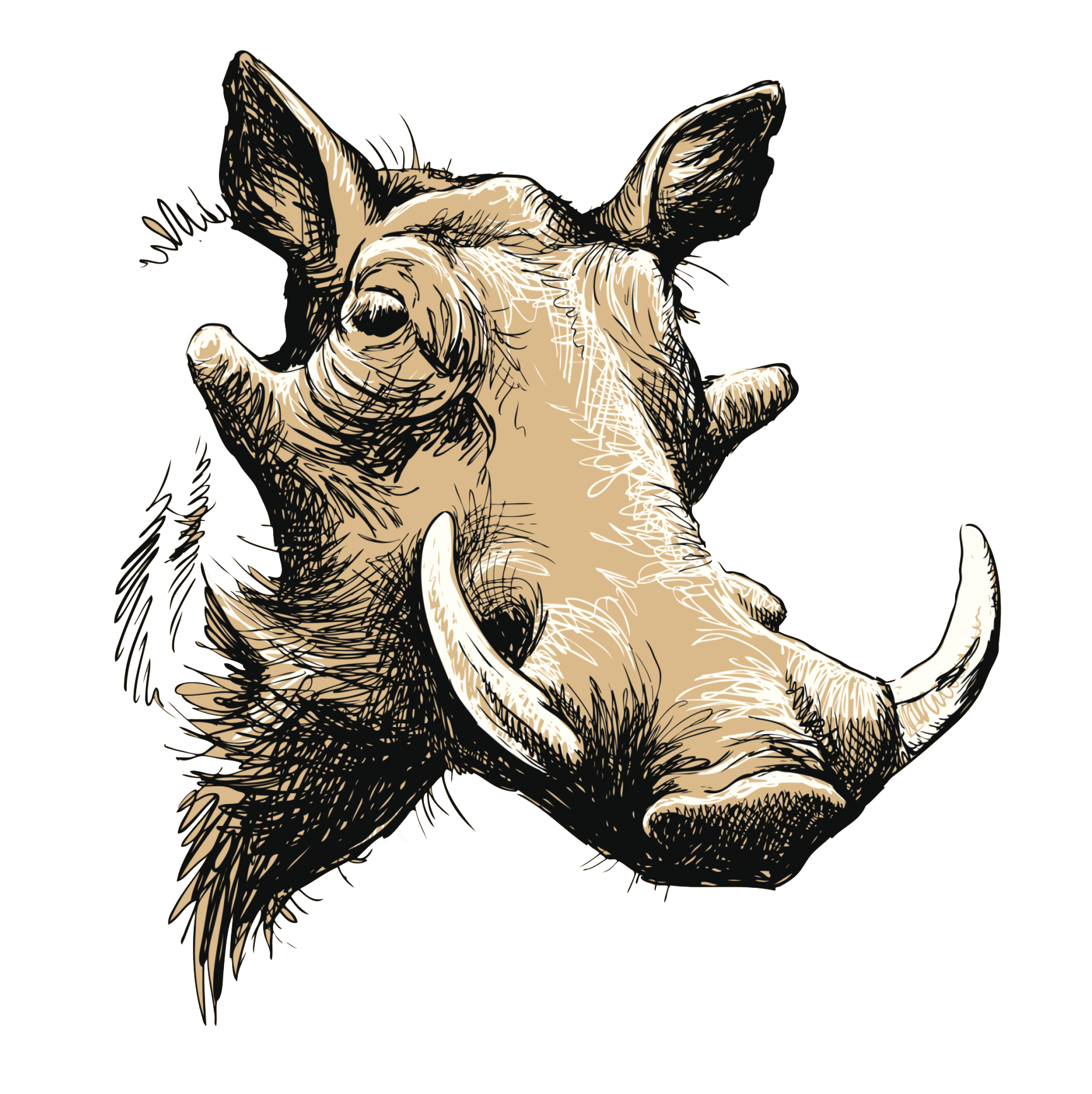 Warthog Logo - Ivan Reynolds | Tenacity At It's Best
