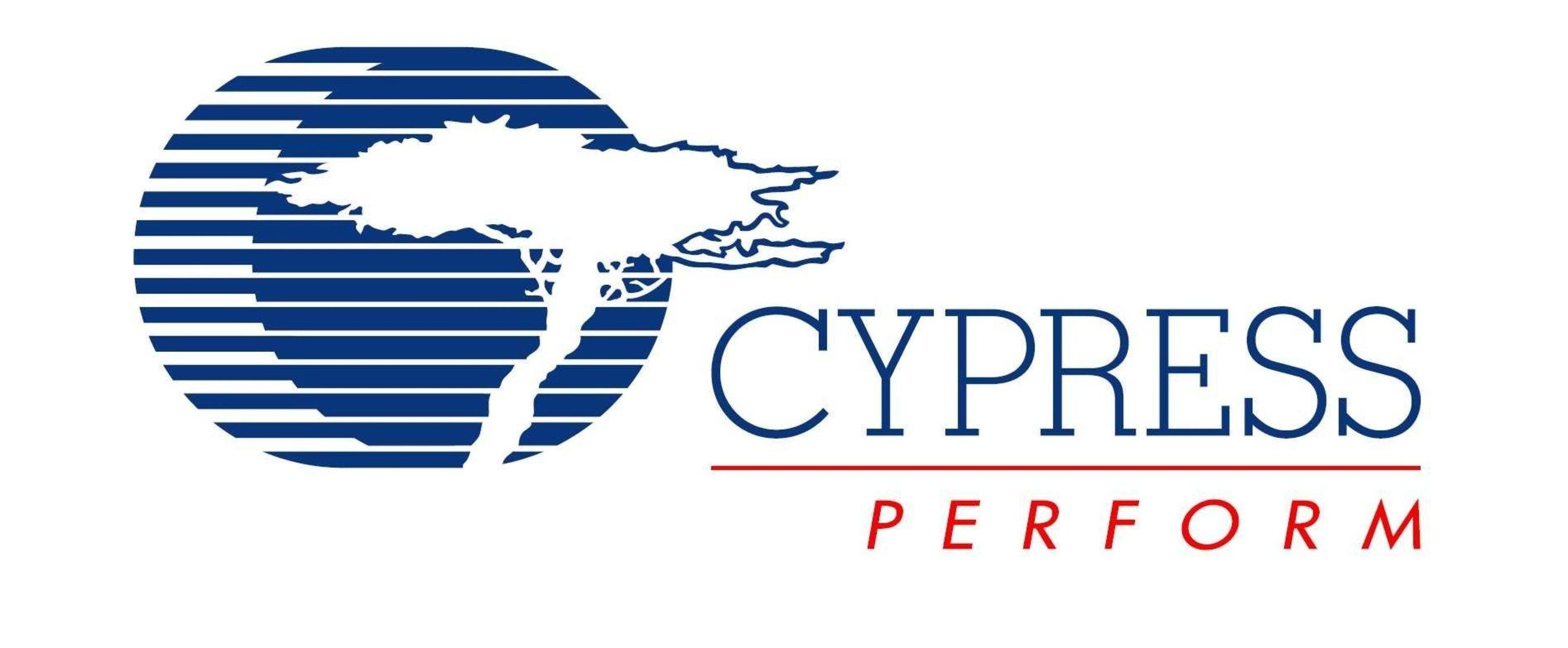 Spansion Logo - Cypress And Spansion Complete $5 Billion All Stock Merger