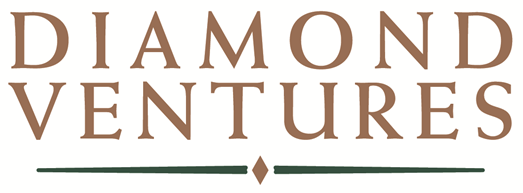 DVI Logo - DVI Logo - Diamond Ventures
