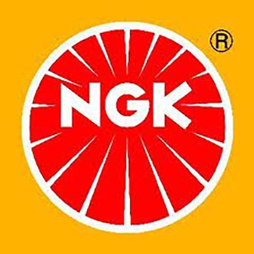 NGK Logo - DPR6EB-9 NGK Spark Plug - 3108 - FREE Shipping for 4 + plugs – GnG ...