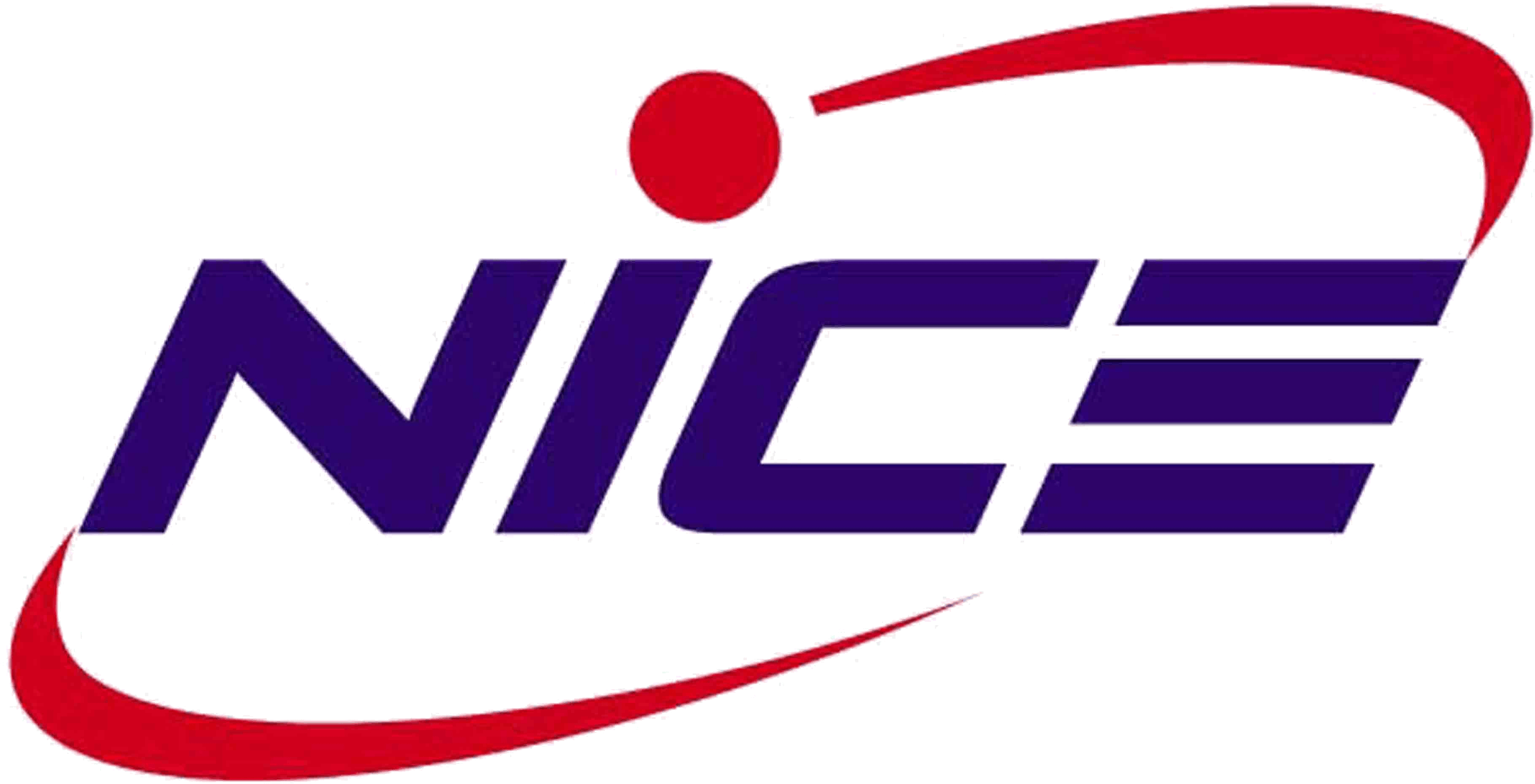 Nice Logo