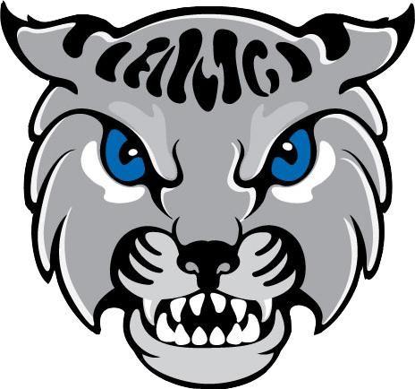 Amcats Logo - The Anna Maria College AMCATS