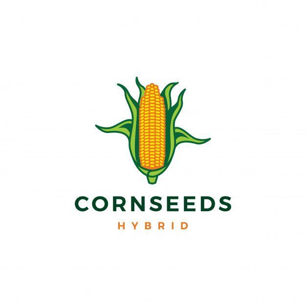 Corn Logo - Corn logo vector icon illustration color Vector