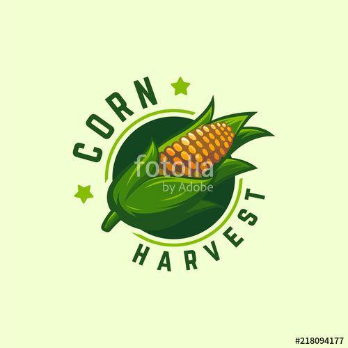 Corn Logo - Cool Badge Corn Harvest logo designs concept vector, Corn logo