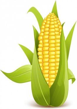 Corn Logo - Corn free logo vector free vector download (67,977 Free vector) for ...