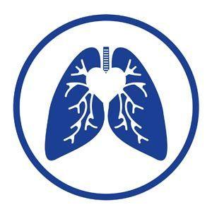 Lung Logo - Lung Logo | 135-lung | Pinterest | Logos, Logo design and Portfolio ...