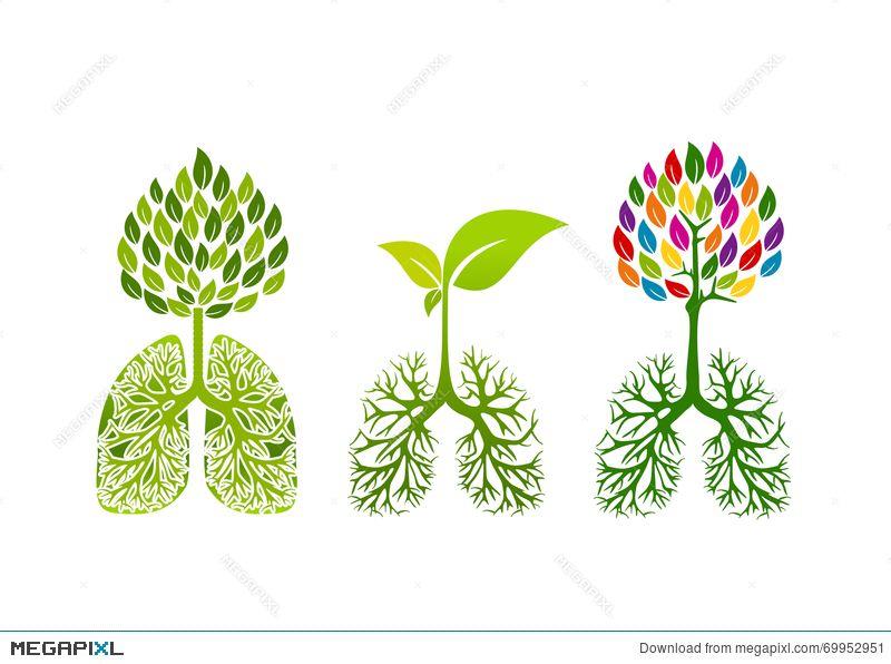 Lung Logo - Lung Logo, Healthy Breath Concept Design Illustration 69952951 ...
