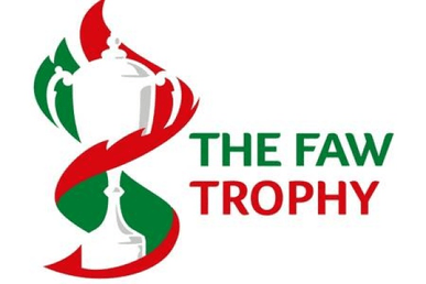 Trophy Logo - FAW Trophy