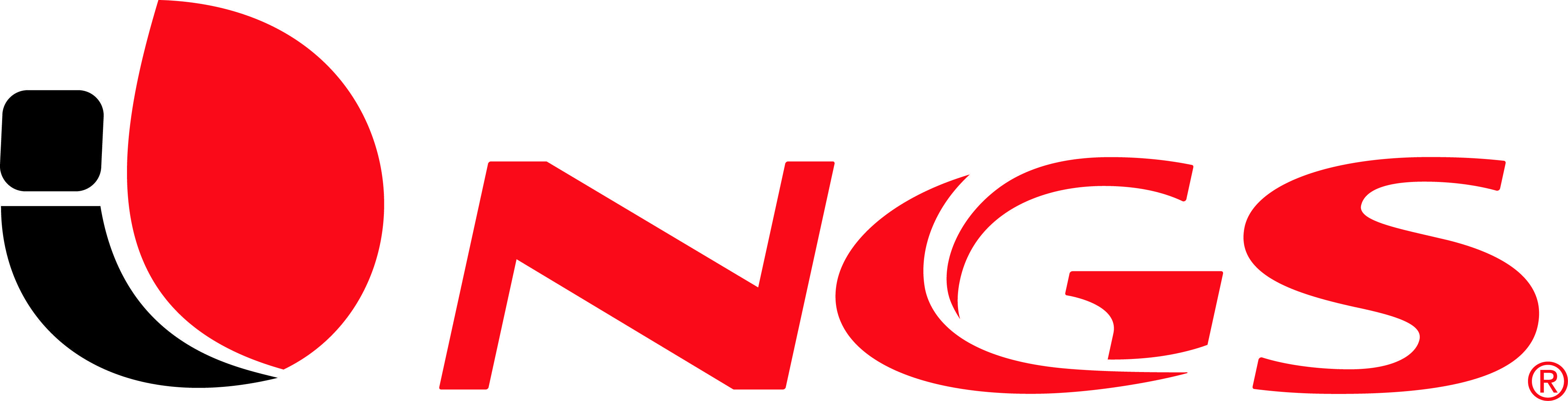 NGS Logo - LOGOS