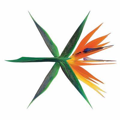 Newest Logo - TRENDING Everything You Need To Know About EXO's New Logo