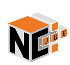 Ncube Logo - NCube Client Reviews | Clutch.co