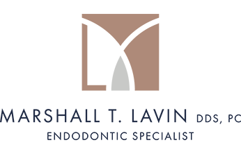 Lavin Logo - Marshall T Lavin, DDS Falls Endodontist
