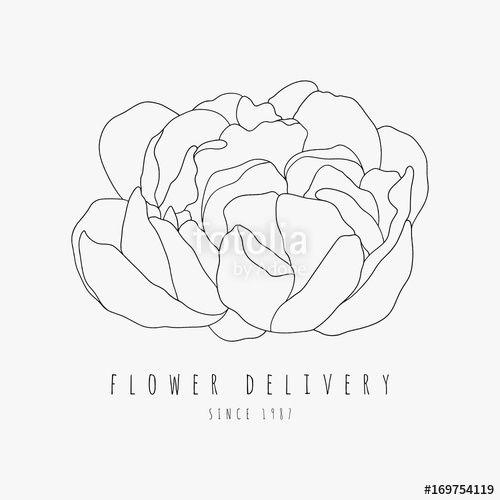 Peony Logo - Hand drawn peony logo. Flower delivery service concept. Vector ...