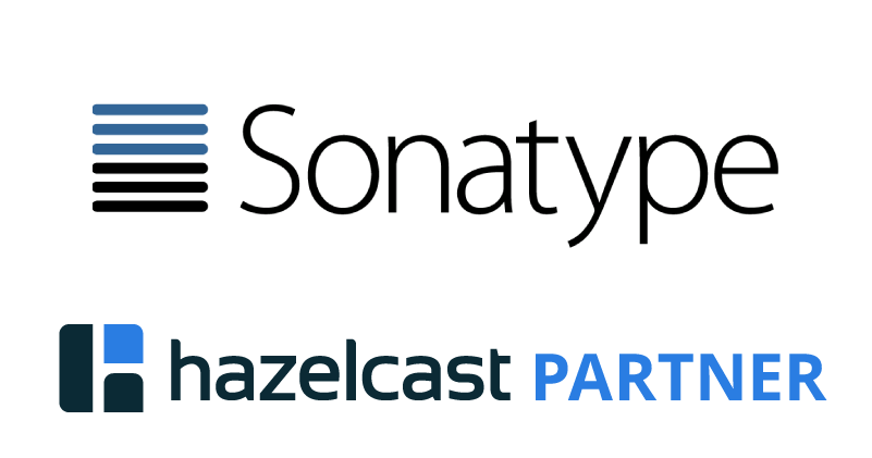 Sonatype Logo - Sonatype