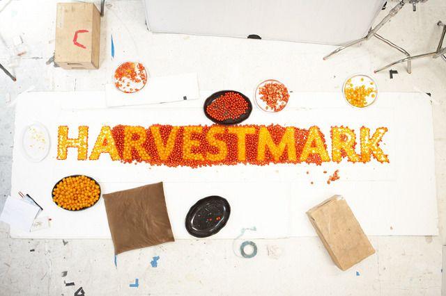 HarvestMark Logo - HarvestMark | Tomato Sculpture - Caspian - Personal network