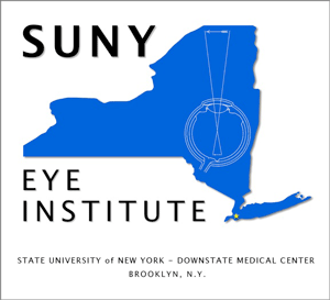 NY1 Logo - Index of /ophthalmology/images