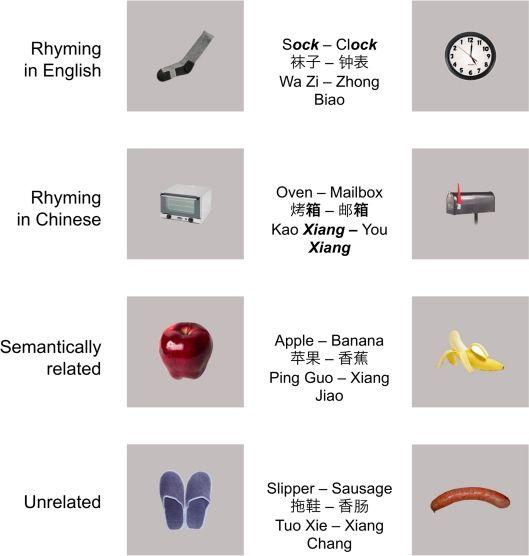 Rhyming Logo - Examples of stimuli used in the rhyming judgment tasks. Each cell