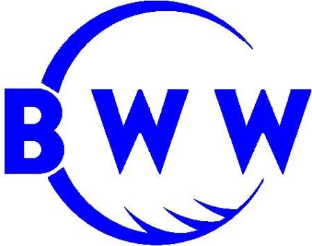 BWW Logo - bww logo | BWW Mexico Website