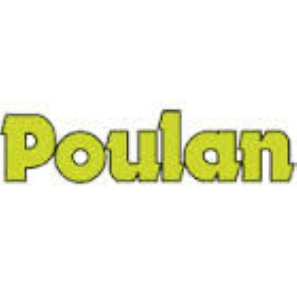 Poulan Logo - Chainsaw Bar 952044326 20