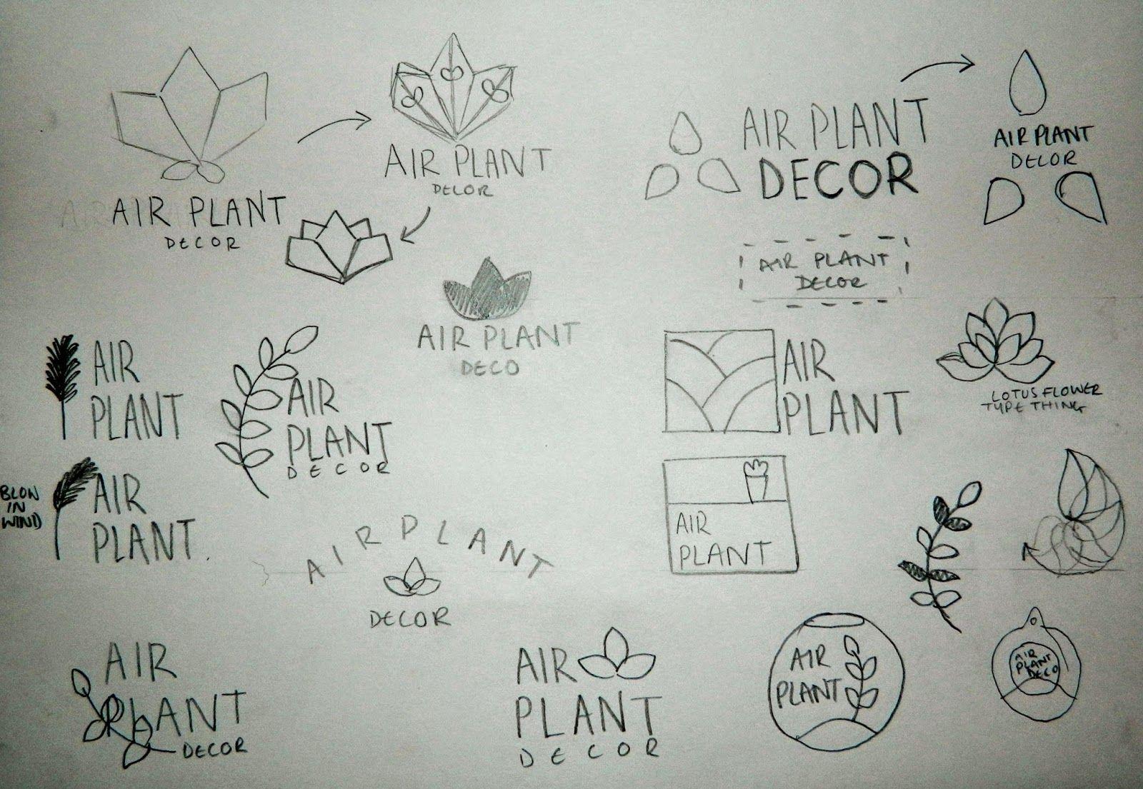 Thumbnails Logo - Designcrowd Brief: Air Plant Decor Logo | Unit 9