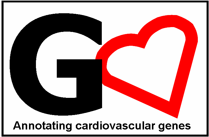 Annotation Logo - Functional Gene Annotation. UCL Institute of Cardiovascular Science