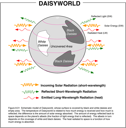 Daisyworld Logo - Daisyworld model