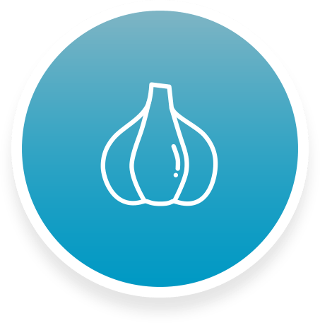 AgBiome Logo - garlic icon - AgBiome Innovations