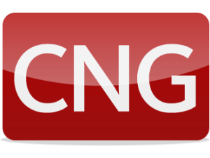 CNG Logo - Accept Payments Online via CNG Pro. Compare all Payment Service