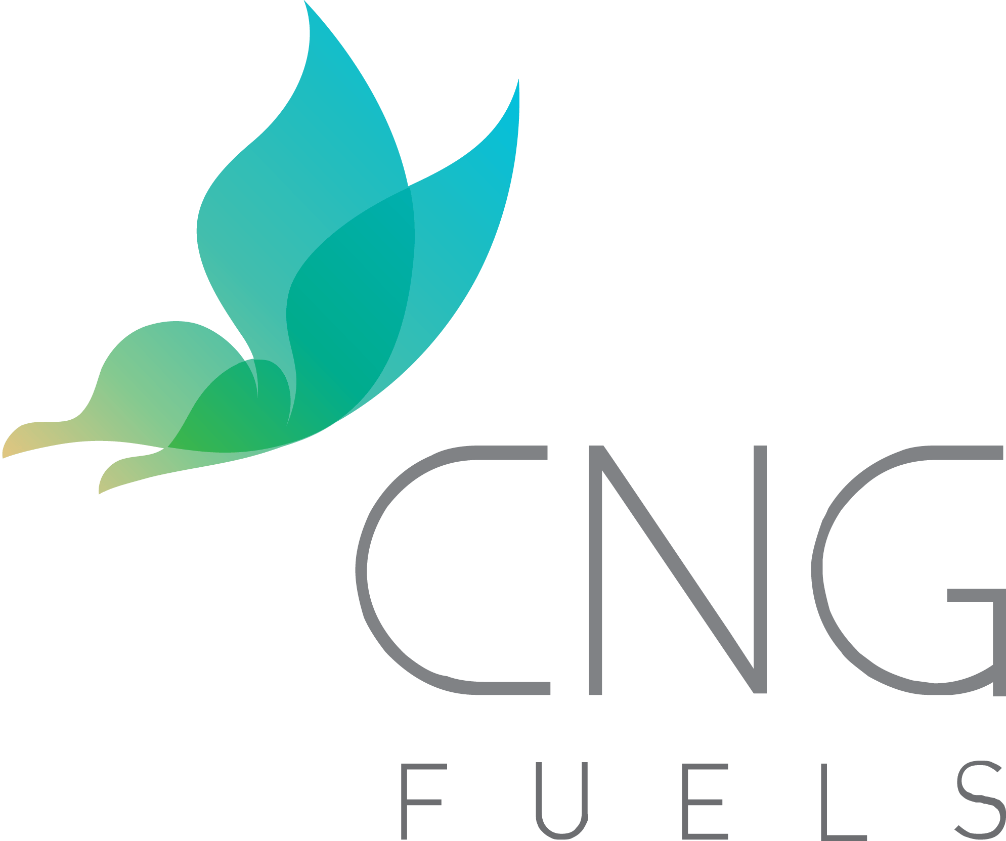 CNG Logo - Homepage