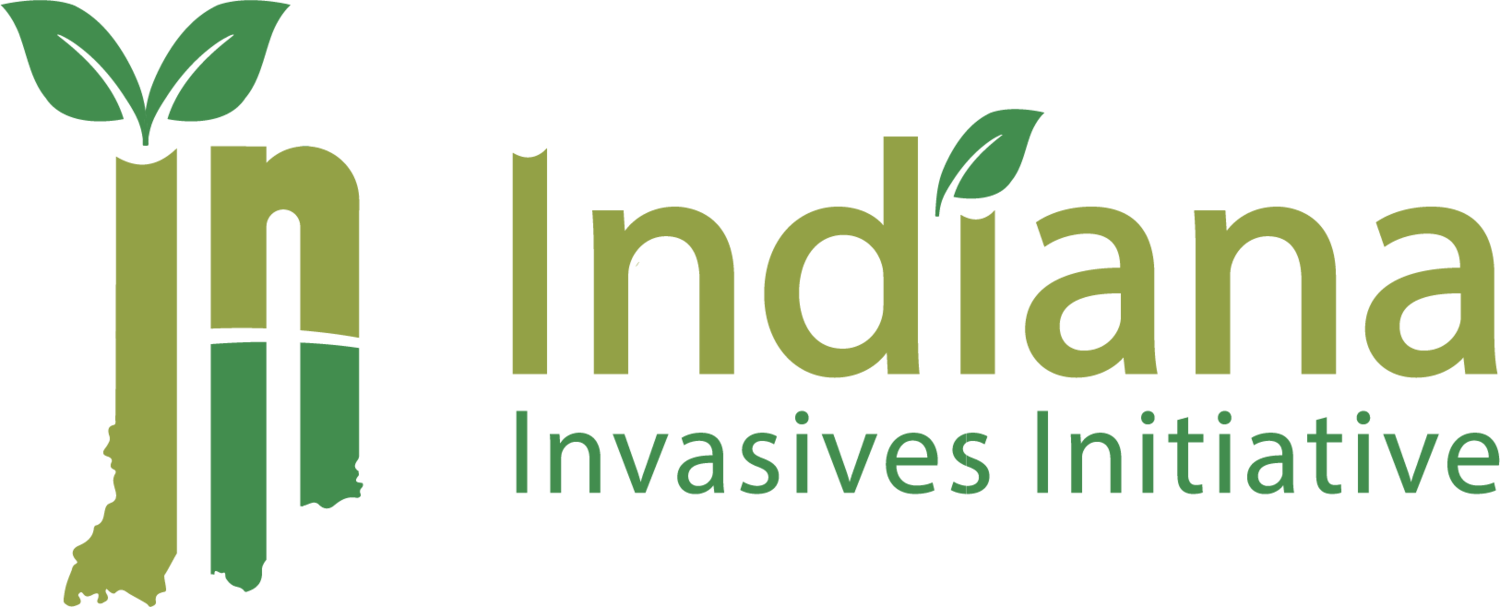 III Logo - Indiana Invasive Initiative Logo Contest Winner Chosen!
