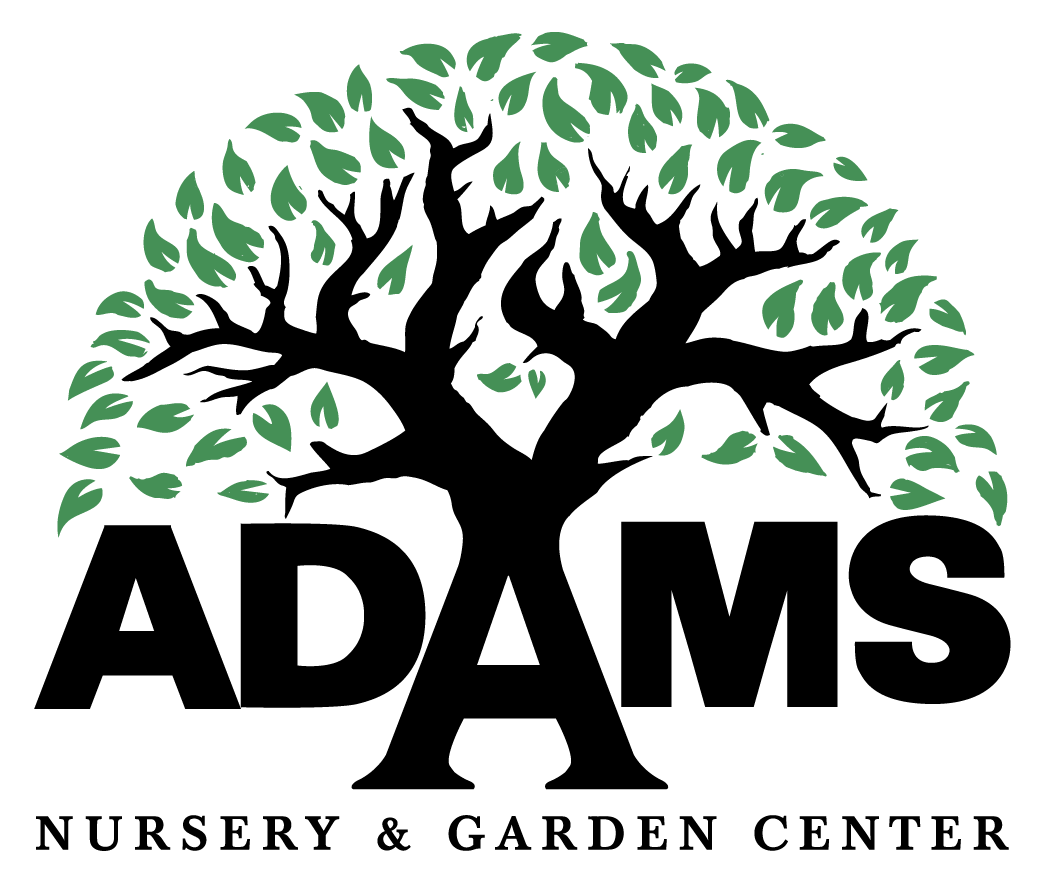 Adams Logo - Adams Nursery & Garden Center Logo. Shea's Performing Arts Center