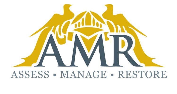 Amr Logo - AMR - LW Design