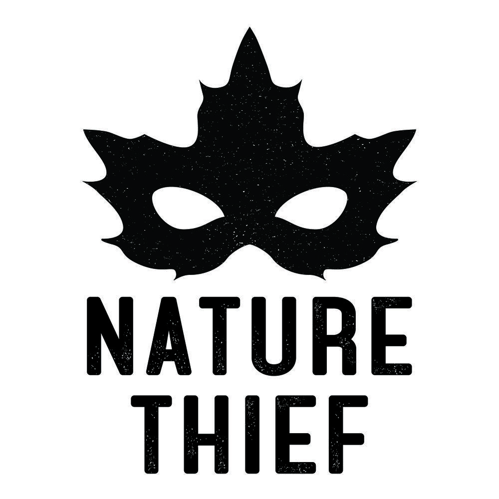 Thief Logo - Nature Thief band logo — Jeana Beyers