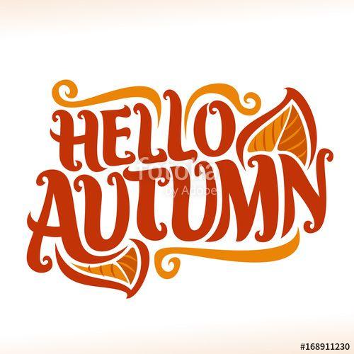 Fall Logo - Vector poster for Autumn season: vintage fall logo with orange