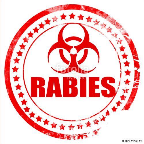 Rabies Logo - Rabies Virus Concept Background And Royalty Free Image