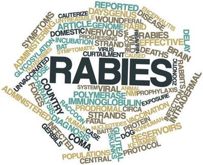 Rabies Logo - Rabies found in animals near Superstition Mountains. Local News