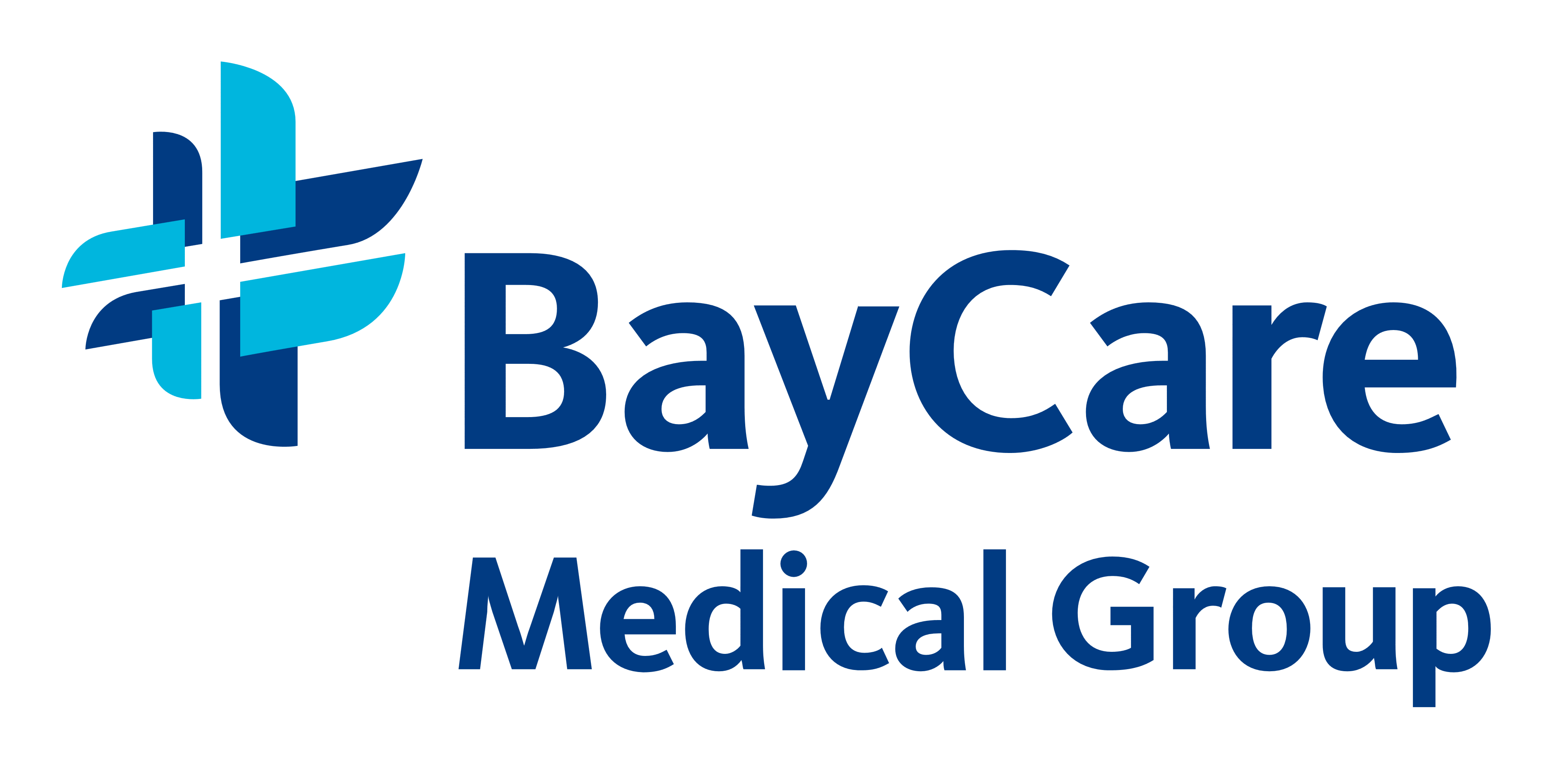 BayCare Logo - BayCare Medical Group – Logos Download