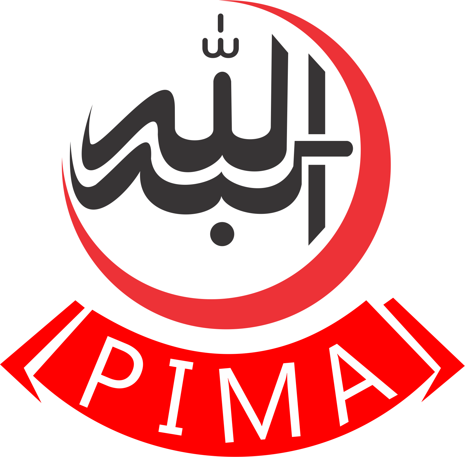 Pima Logo - Pakistan Islamic Medical Association